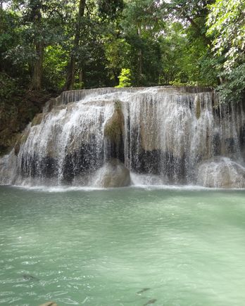 Fish in Erawan waterfall 