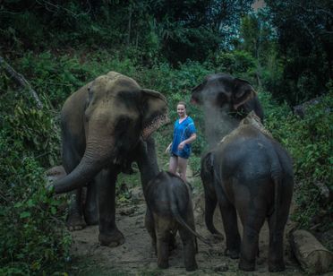 Chiang Mai: Ethical Elephant Care & Coffee Workshop in Karen Hill Tribe