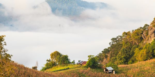 9 Things to Do in Thailand in Winter